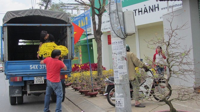 Chiều 30 tết, nhiều nơi không có hoa để bán - ảnh 9